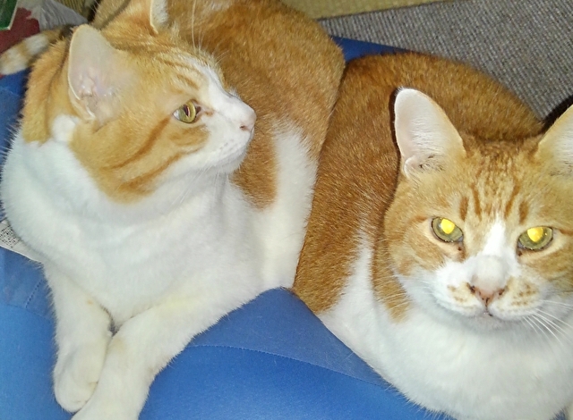 まことの実体験｜18歳のリクが急に甘えるようになったとき