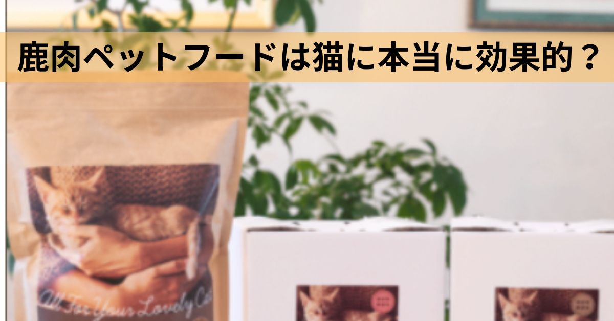 鹿肉ペットフードは猫に本当に効果的？キャットスタンスの口コミから見える真実