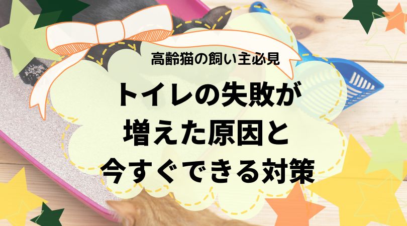 【高齢猫の飼い主必見】トイレの失敗が増えた原因と今すぐできる対策