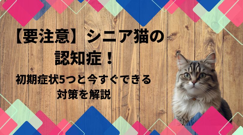 【要注意】シニア猫の認知症！初期症状5つと今すぐできる対策を解説