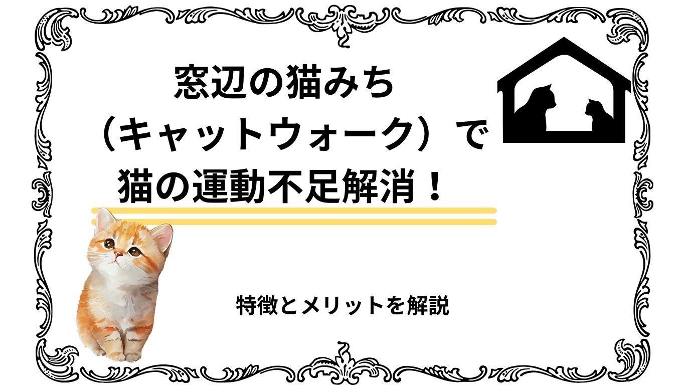 窓辺の猫みち（キャットウォーク）で猫の運動不足解消！特徴とメリットを解説